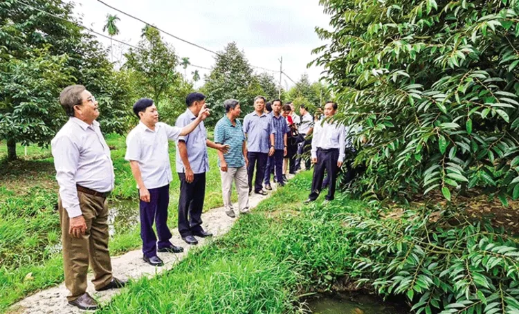 Tuyển nam nữ làm vườn - Môi trường làm việc phổ biến Tuyển nam nữ làm vườn - Môi trường làm việc phổ biến