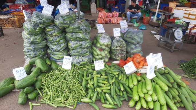 Bốc hàng trái cây - Sức khỏe, độ tuổi và khả năng chịu lực Bốc hàng trái cây - Sức khỏe, độ tuổi và khả năng chịu lực