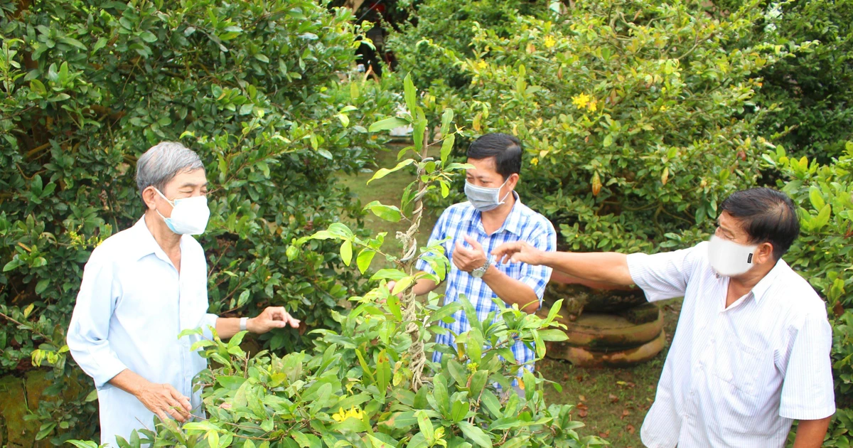 Nhân viên làm vườn - Công việc theo mùa và theo dự án Nhân viên làm vườn - Công việc theo mùa và theo dự án