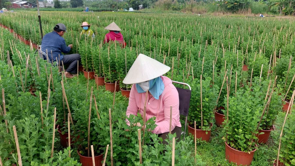 Nam nữ làm vườn - Thu nhập phổ biến theo hình thức làm việc