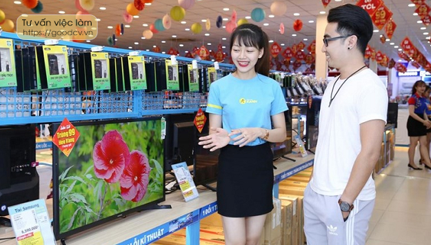 Điện Máy Xanh tuyển dụng yêu cầu gì? Kinh nghiệm phỏng vấn # Nền tảng JobOKO