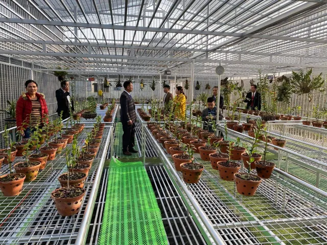 Nghề làm vườn - Kiến thức thực hành về cây, đất, nước và mùa vụ Nghề làm vườn - Kiến thức thực hành về cây, đất, nước và mùa vụ