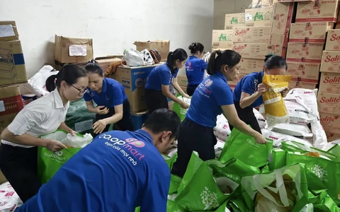 Làm thời vụ - Kỷ luật, tốc độ và làm việc nhóm Làm thời vụ - Kỷ luật, tốc độ và làm việc nhóm