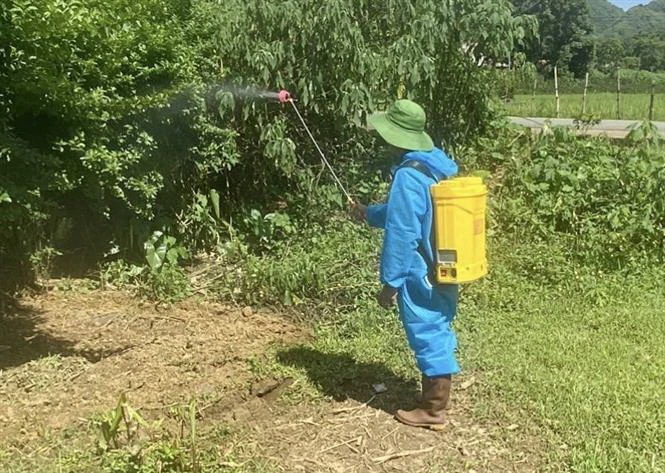 Nhân viên làm vườn - Kỹ năng cần có để làm tốt nghề này Nhân viên làm vườn - Kỹ năng cần có để làm tốt nghề này