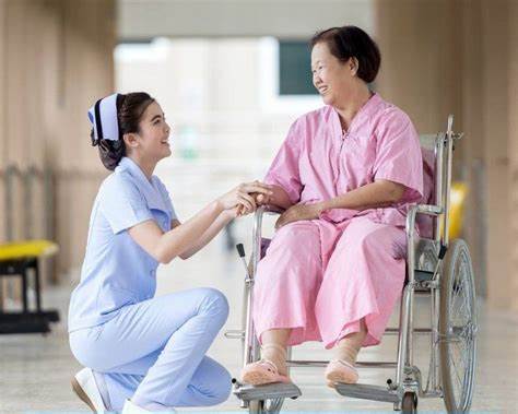 Con gái nên du học Nhật Bản ngành gì tốt nhất 2026