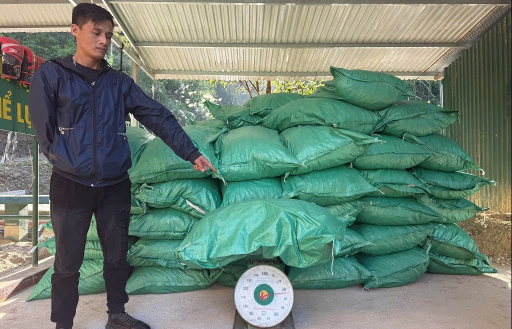 Bavico tuyển tài xế xe tải - Quy trình tuyển dụng và mẹo phỏng vấn Bavico tuyển tài xế xe tải - Quy trình tuyển dụng và mẹo phỏng vấn