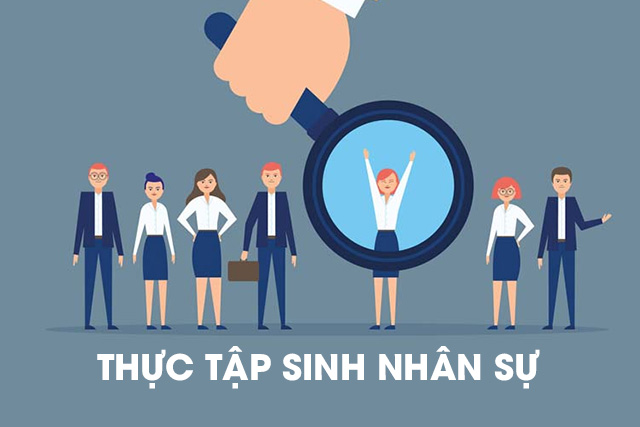 Tuyển Dụng Thực Tập Sinh Nhân Sự - Robins