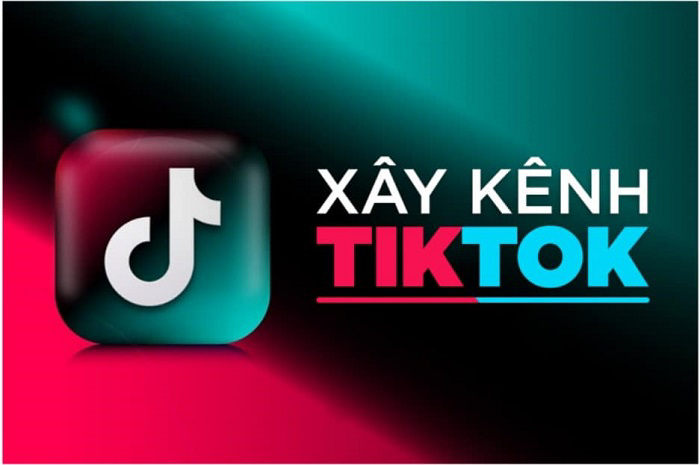 Tiktokio - Bảng thông tin nhanh về công cụ tải video TikTok