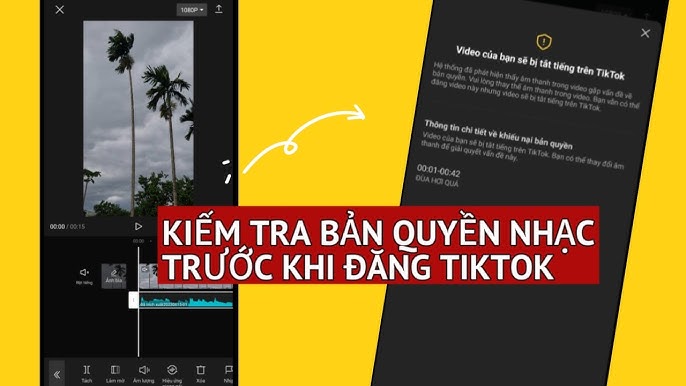 Snap tiktok - Thao tác nhanh, không cần kỹ năng kỹ thuật