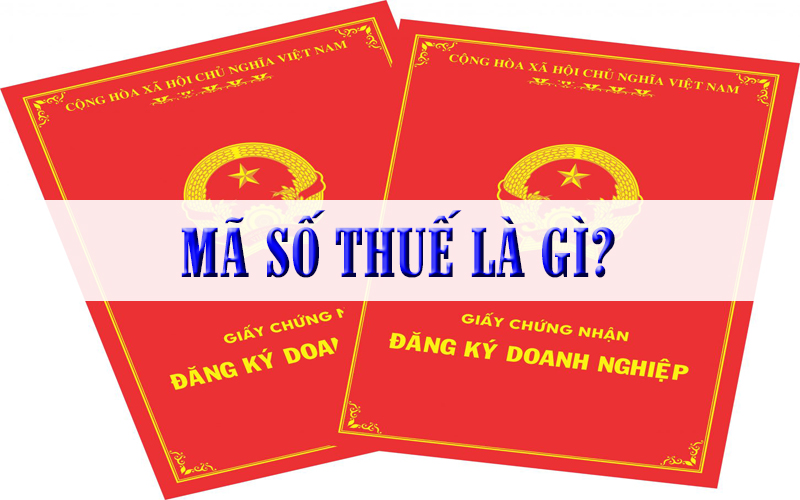 Mã số thuế - Mã số thuế là gì và vì sao quan trọng? Mã số thuế - Mã số thuế là gì và vì sao quan trọng?