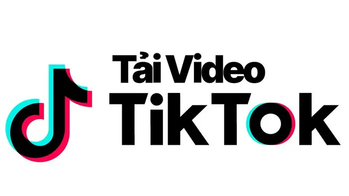Tải video tiktok không logo - Cách 1: Dùng website tải video TikTok online