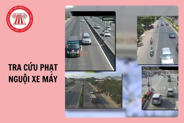 Check phạt nguội - Tra cứu qua Cục Đăng kiểm