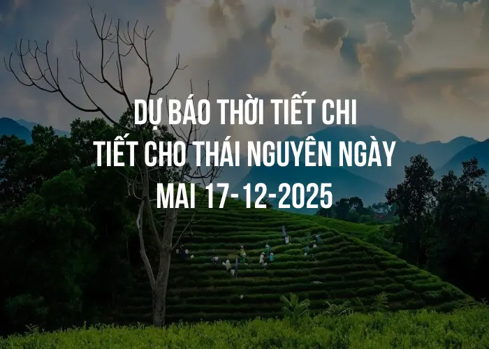 Thời tiết Đà Nẵng - Thời tiết Đà Nẵng hôm nay có gì đáng chú ý?